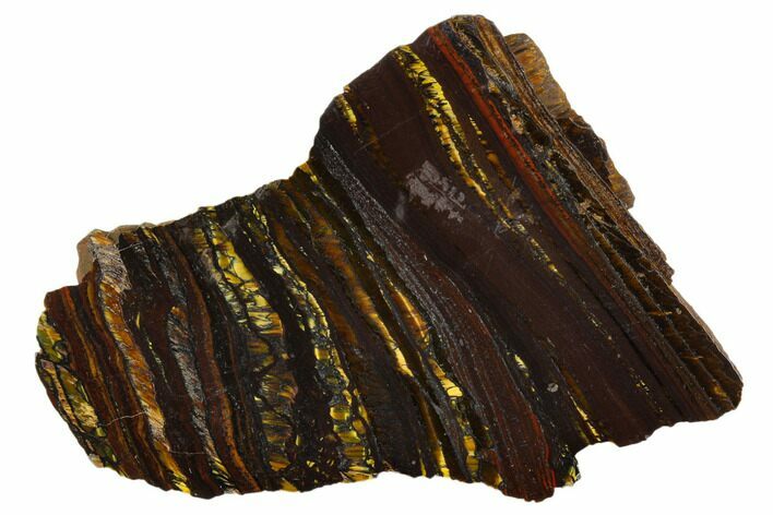 Polished Tiger Iron Stromatolite - Billion Years #129200